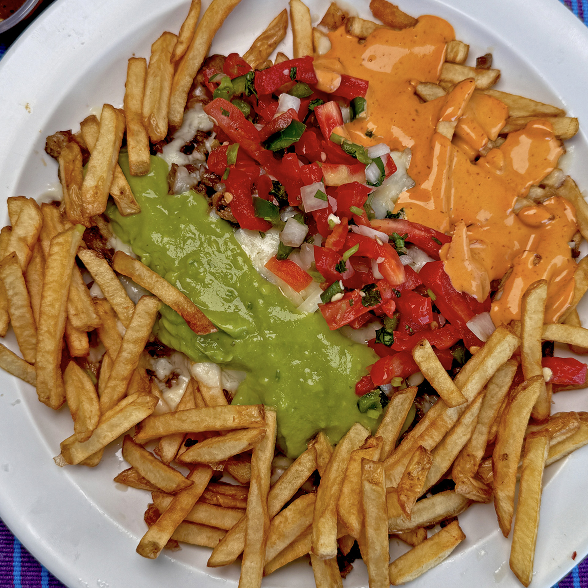 Carne Asada Fries